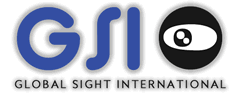 Logo Global Sight International